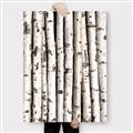 Picture of Birch Logs _GroupedProduct_Rectangle_Portrait_Photography _GroupedProduct_Rectangle_Portrait_Canvas_