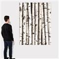 Picture of Birch Logs _GroupedProduct_Rectangle_Portrait_Photography _GroupedProduct_Rectangle_Portrait_Canvas_