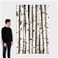 Picture of Birch Logs _GroupedProduct_Rectangle_Portrait_Photography _GroupedProduct_Rectangle_Portrait_Canvas_