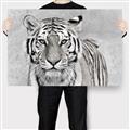 Picture of Big Tiger _GroupedProduct_Rectangle_Landscape_Photography _GroupedProduct_Rectangle_Landscape_Canvas_