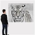Picture of Big Tiger _GroupedProduct_Rectangle_Landscape_Photography _GroupedProduct_Rectangle_Landscape_Canvas_