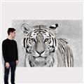 Picture of Big Tiger _GroupedProduct_Rectangle_Landscape_Photography _GroupedProduct_Rectangle_Landscape_Canvas_