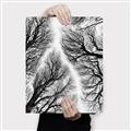 Picture of Web of Trees _GroupedProduct_Rectangle_Portrait_Photography _GroupedProduct_Rectangle_Portrait_Canvas_