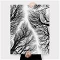 Picture of Web of Trees _GroupedProduct_Rectangle_Portrait_Photography _GroupedProduct_Rectangle_Portrait_Canvas_