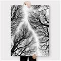 Picture of Web of Trees _GroupedProduct_Rectangle_Portrait_Photography _GroupedProduct_Rectangle_Portrait_Canvas_