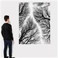 Picture of Web of Trees _GroupedProduct_Rectangle_Portrait_Photography _GroupedProduct_Rectangle_Portrait_Canvas_