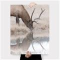 Picture of Elk in the Wild _GroupedProduct_Rectangle_Portrait_Photography _GroupedProduct_Rectangle_Portrait_Canvas_