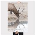 Picture of Elk in the Wild _GroupedProduct_Rectangle_Portrait_Photography _GroupedProduct_Rectangle_Portrait_Canvas_