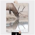 Picture of Elk in the Wild _GroupedProduct_Rectangle_Portrait_Photography _GroupedProduct_Rectangle_Portrait_Canvas_