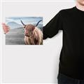 Picture of Furry highland cow _GroupedProduct_Rectangle_Landscape_Photography _GroupedProduct_Rectangle_Landscape_Canvas_