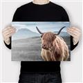 Picture of Furry highland cow _GroupedProduct_Rectangle_Landscape_Photography _GroupedProduct_Rectangle_Landscape_Canvas_