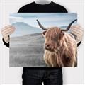 Picture of Furry highland cow _GroupedProduct_Rectangle_Landscape_Photography _GroupedProduct_Rectangle_Landscape_Canvas_