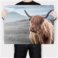 Picture of Furry highland cow _GroupedProduct_Rectangle_Landscape_Photography _GroupedProduct_Rectangle_Landscape_Canvas_