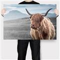 Picture of Furry highland cow _GroupedProduct_Rectangle_Landscape_Photography _GroupedProduct_Rectangle_Landscape_Canvas_