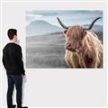 Picture of Furry highland cow _GroupedProduct_Rectangle_Landscape_Photography _GroupedProduct_Rectangle_Landscape_Canvas_