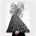Picture of The Tree _GroupedProduct_Rectangle_Portrait_Photography _GroupedProduct_Rectangle_Portrait_Canvas_
