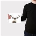 Picture of Deer Antler _GroupedProduct_Rectangle_Landscape_Photography _GroupedProduct_Rectangle_Landscape_Canvas_