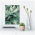 Picture of Green Ferns _GroupedProduct_Rectangle_Portrait_Photography _GroupedProduct_Rectangle_Portrait_Canvas_