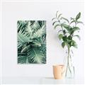 Picture of Green Ferns _GroupedProduct_Rectangle_Portrait_Photography _GroupedProduct_Rectangle_Portrait_Canvas_