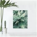 Picture of Green Ferns _GroupedProduct_Rectangle_Portrait_Photography _GroupedProduct_Rectangle_Portrait_Canvas_