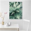 Picture of Green Ferns _GroupedProduct_Rectangle_Portrait_Photography _GroupedProduct_Rectangle_Portrait_Canvas_