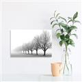 Picture of Lined Up Trees _GroupedProduct_Rectangle_Landscape_Photography _GroupedProduct_Rectangle_Landscape_Canvas_