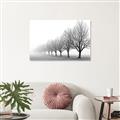 Picture of Lined Up Trees _GroupedProduct_Rectangle_Landscape_Photography _GroupedProduct_Rectangle_Landscape_Canvas_
