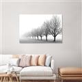 Picture of Lined Up Trees _GroupedProduct_Rectangle_Landscape_Photography _GroupedProduct_Rectangle_Landscape_Canvas_