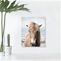 Picture of Sadie _GroupedProduct_Rectangle_Portrait_Photography _GroupedProduct_Rectangle_Portrait_Canvas_