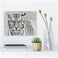 Picture of Big Tiger _GroupedProduct_Rectangle_Landscape_Photography _GroupedProduct_Rectangle_Landscape_Canvas_
