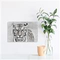 Picture of Big Tiger _GroupedProduct_Rectangle_Landscape_Photography _GroupedProduct_Rectangle_Landscape_Canvas_