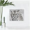 Picture of Big Tiger _GroupedProduct_Rectangle_Landscape_Photography _GroupedProduct_Rectangle_Landscape_Canvas_