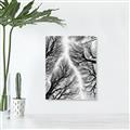 Picture of Web of Trees _GroupedProduct_Rectangle_Portrait_Photography _GroupedProduct_Rectangle_Portrait_Canvas_