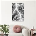 Picture of Web of Trees _GroupedProduct_Rectangle_Portrait_Photography _GroupedProduct_Rectangle_Portrait_Canvas_