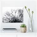 Picture of Dandilion bliss _GroupedProduct_Rectangle_Landscape_Photography _GroupedProduct_Rectangle_Landscape_Canvas_