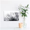 Picture of Dandilion bliss _GroupedProduct_Rectangle_Landscape_Photography _GroupedProduct_Rectangle_Landscape_Canvas_
