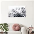 Picture of Dandilion bliss _GroupedProduct_Rectangle_Landscape_Photography _GroupedProduct_Rectangle_Landscape_Canvas_
