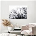Picture of Dandilion bliss _GroupedProduct_Rectangle_Landscape_Photography _GroupedProduct_Rectangle_Landscape_Canvas_
