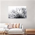Picture of Dandilion bliss _GroupedProduct_Rectangle_Landscape_Photography _GroupedProduct_Rectangle_Landscape_Canvas_