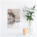 Picture of Elk in the Wild _GroupedProduct_Rectangle_Portrait_Photography _GroupedProduct_Rectangle_Portrait_Canvas_