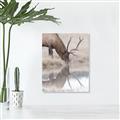 Picture of Elk in the Wild _GroupedProduct_Rectangle_Portrait_Photography _GroupedProduct_Rectangle_Portrait_Canvas_