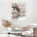 Picture of Elk in the Wild _GroupedProduct_Rectangle_Portrait_Photography _GroupedProduct_Rectangle_Portrait_Canvas_