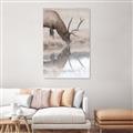 Picture of Elk in the Wild _GroupedProduct_Rectangle_Portrait_Photography _GroupedProduct_Rectangle_Portrait_Canvas_
