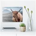 Picture of Furry highland cow _GroupedProduct_Rectangle_Landscape_Photography _GroupedProduct_Rectangle_Landscape_Canvas_