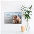 Picture of Furry highland cow _GroupedProduct_Rectangle_Landscape_Photography _GroupedProduct_Rectangle_Landscape_Canvas_