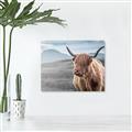 Picture of Furry highland cow _GroupedProduct_Rectangle_Landscape_Photography _GroupedProduct_Rectangle_Landscape_Canvas_