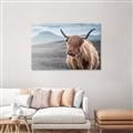 Picture of Furry highland cow _GroupedProduct_Rectangle_Landscape_Photography _GroupedProduct_Rectangle_Landscape_Canvas_