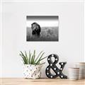 Picture of The Lion King _GroupedProduct_Rectangle_Landscape_Photography _GroupedProduct_Rectangle_Landscape_Canvas_