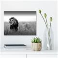 Picture of The Lion King _GroupedProduct_Rectangle_Landscape_Photography _GroupedProduct_Rectangle_Landscape_Canvas_