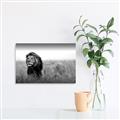 Picture of The Lion King _GroupedProduct_Rectangle_Landscape_Photography _GroupedProduct_Rectangle_Landscape_Canvas_